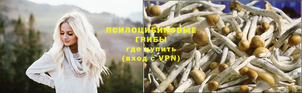 прущий лед Балахна